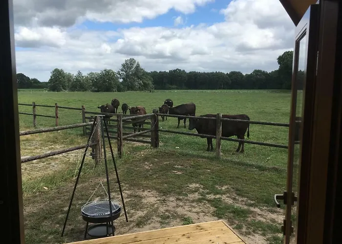 De Rozephoeve Domek letniskowy