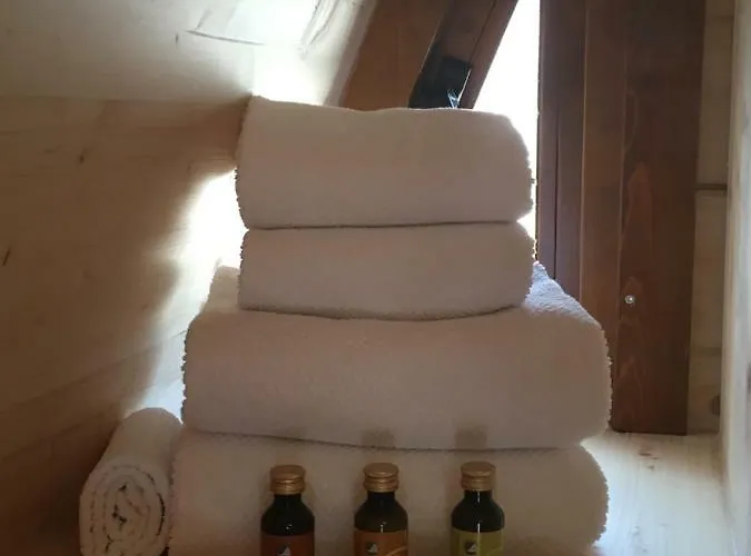 Domek letniskowy De Rozephoeve